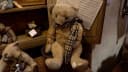 Rare teddy bears set to be auctioned-img-1077